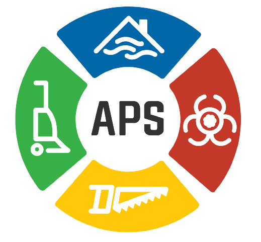 All Pro Services logo